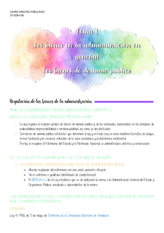 TEMA-1-DERECHO-ADMINISTRATIVO-II.pdf