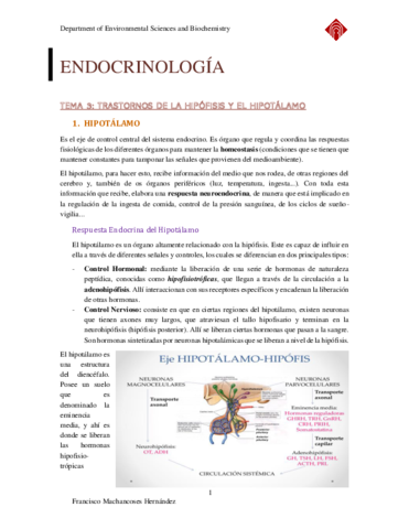ENDOCRINOLOGIA-Tema-3.pdf