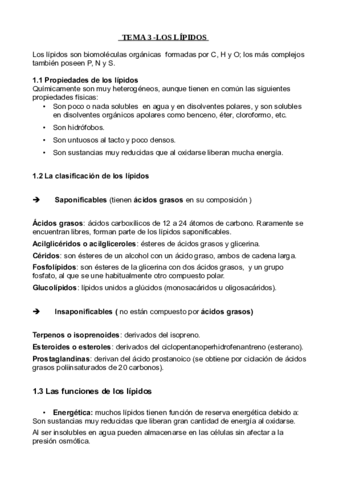 apuntes3.pdf