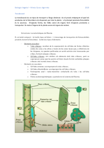 BioVegT1_4.pdf