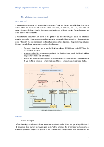 BioVegT3.pdf