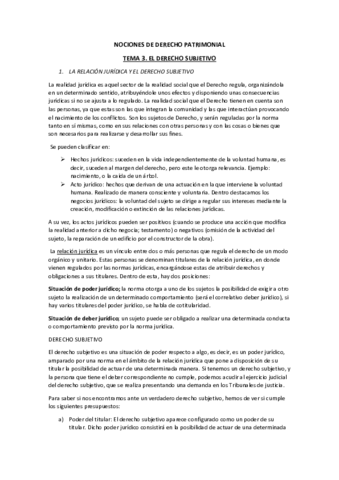 TEMA-3-NDP.pdf