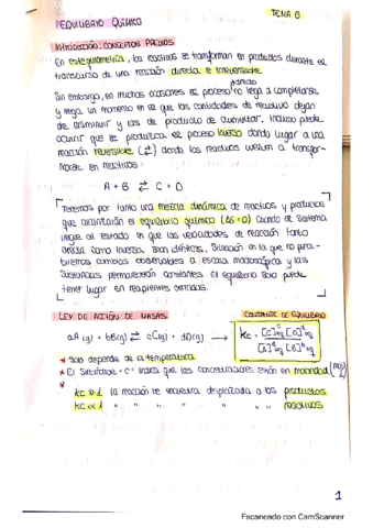 6-equilibrio-quimico.pdf