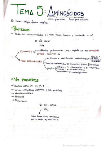 TEMA-5-AMINOACIDOS.pdf