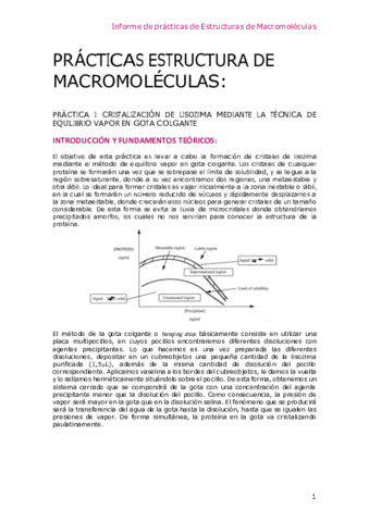 informe-practicas-EMM.pdf