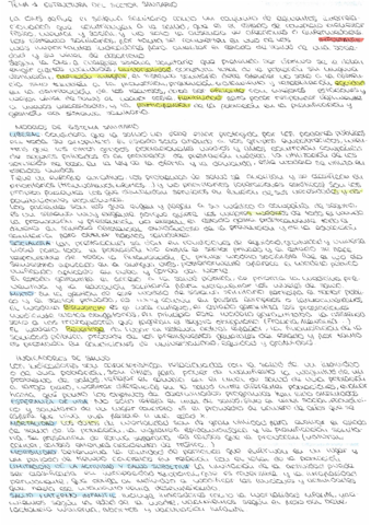 T1-Gestion-muestras.pdf