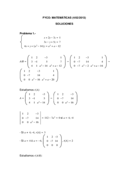 solfycofebrero2013.pdf