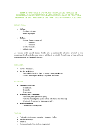 TEMA-2.pdf