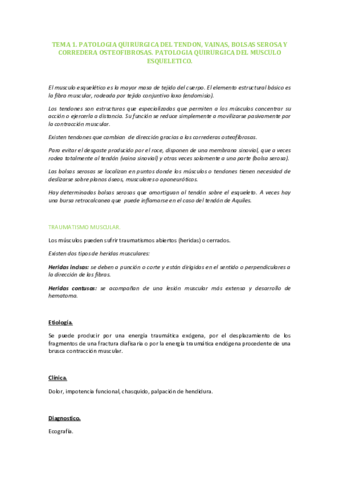 TEMA-1.pdf