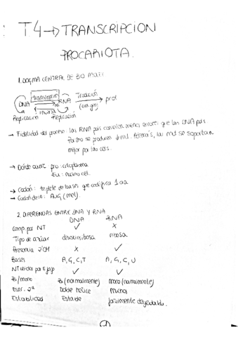 Transcripcion-procariota.pdf