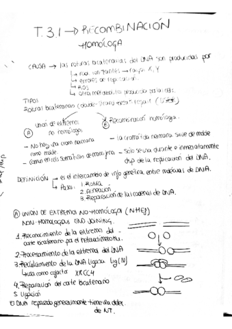 recombinacion-homologa.pdf