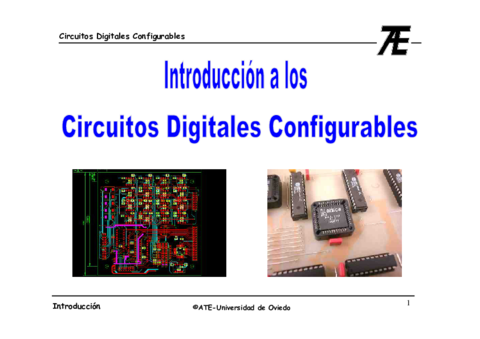 Introduccion-a-los-CDCs.pdf