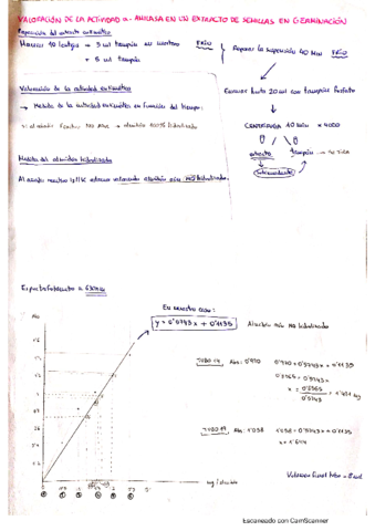 PRACTICAS-FV2.pdf