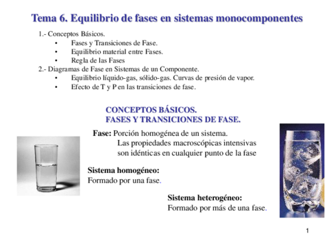Tema-6-Equi-Fases-Monocomp.pdf