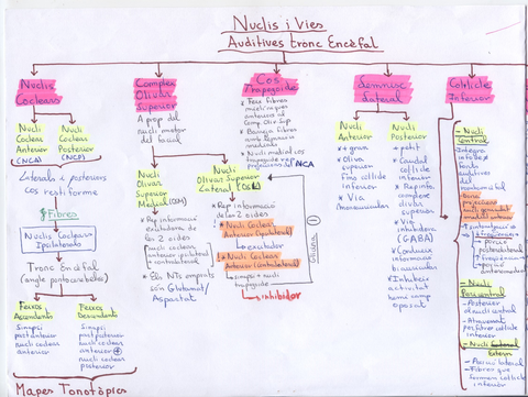 Sistema Auditiu 2.jpg