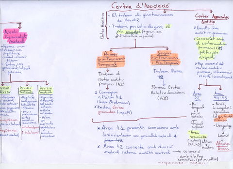 Sistema Auditiu 3.jpg