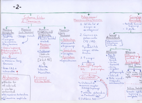 Sistema Límbic 2.jpg