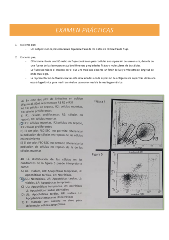 EXAMEN-PRACTICAS.pdf