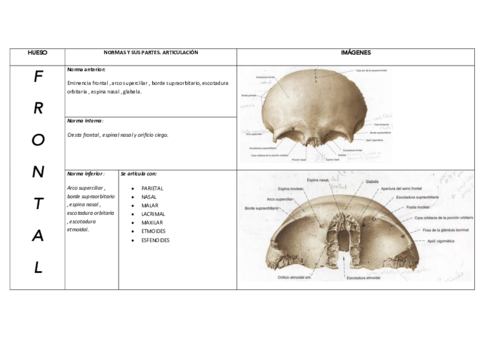 HUESOS-DEL-CRANEO.pdf