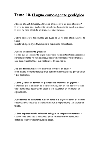 Resumen 10.pdf