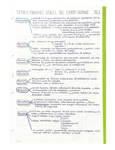 Tema-2-anatomia.pdf