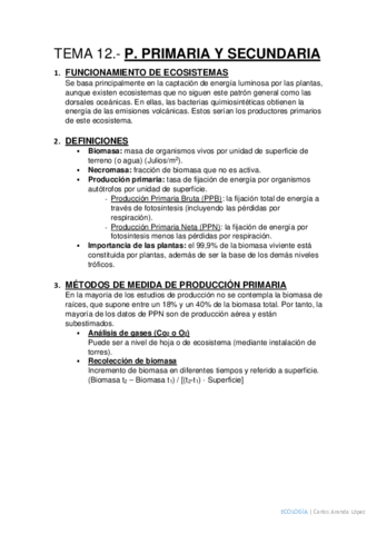 Tema 12.pdf