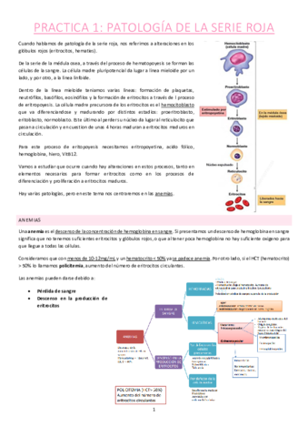 Practica-1.pdf