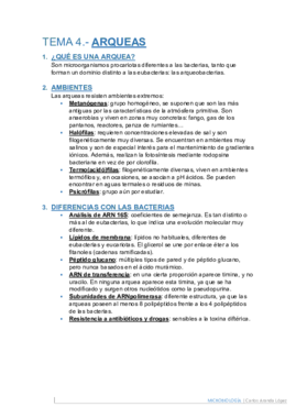 Tema 4.pdf