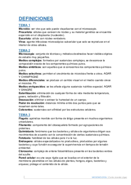 Definiciones.pdf