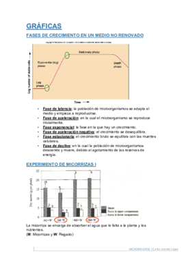 Gráficas.pdf