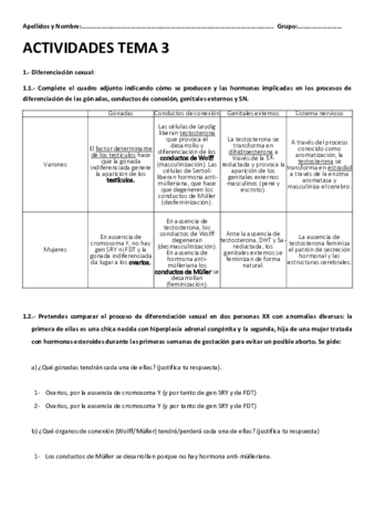 actividades-TEORIA-tema-3-resueltas.pdf