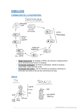 Dibujos.pdf