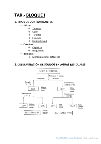 Bloque I.pdf