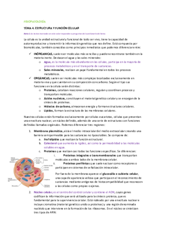 FISIOPAOLOGIA-TEMA-4.pdf