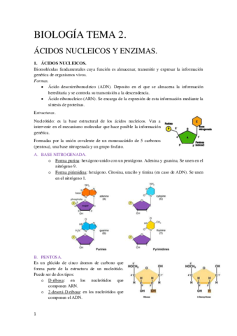 Tema 2 Biología Molecular y Citogenética.pdf