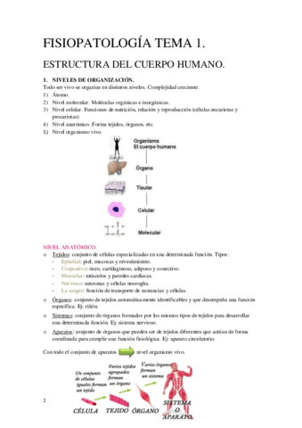 Tema 1 Fisiopatología General.pdf