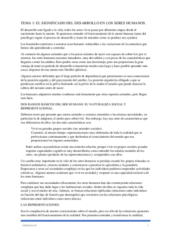 DESARROLLO-I-T1-7.pdf