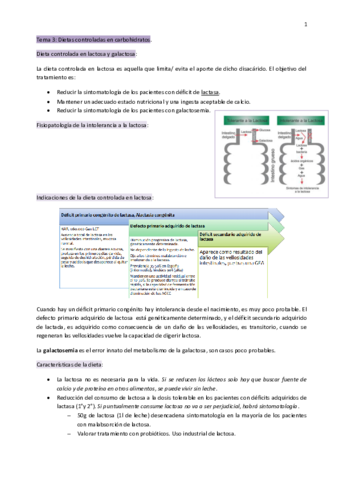 B2.pdf