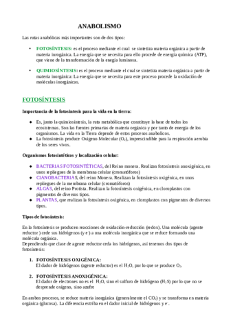 anabolismo.pdf