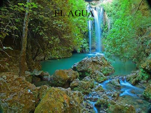 tema2-elagua-100929084706-phpapp01.pdf