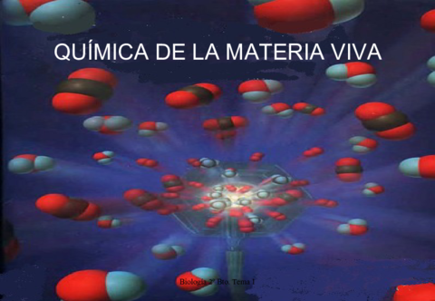 tema1-quimicadelamateriaviva-100921025011-phpapp01.pdf