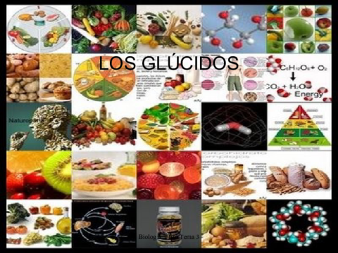 tema3-losglucidos-100929083651-phpapp01.pdf