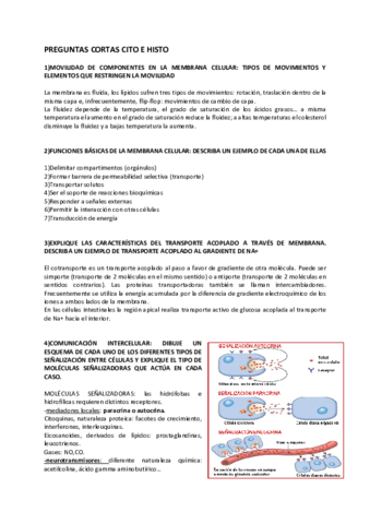 EXAMEN-CITO.pdf