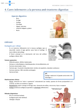 digestivo.pdf