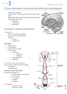 neuro.pdf
