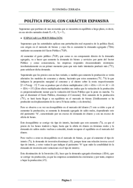 POLÍTICA FISCAL CON CARÁCTER EXPANSIVA.pdf