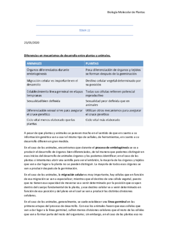 Tema-11.pdf