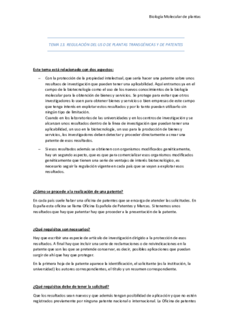 Tema-13.pdf