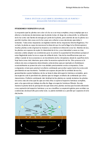 Tema-8.pdf