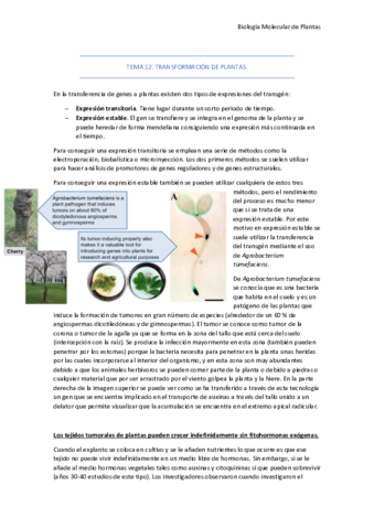 Tema-12.pdf